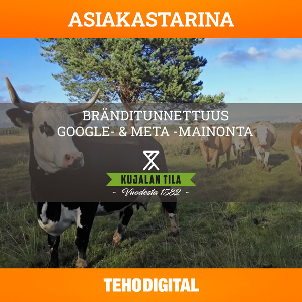 asiakastarina Kujalan Tila